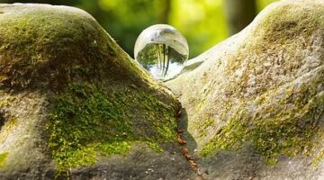 Základy kybernetiky: Informative perspektiva