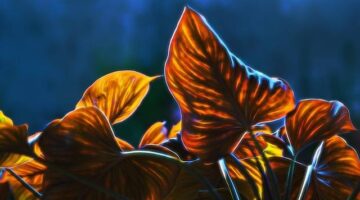 Visual Basic: Úvod pro začínající programátory