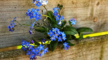 Windows ME: Přehled a Hodnocení Funkcionalit