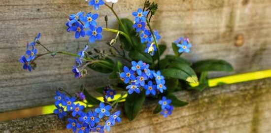 Windows ME: Přehled a Hodnocení Funkcionalit