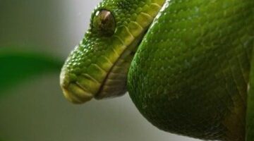 Python: Úvod do programování pro začátečníky
