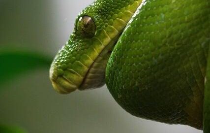 Python: Úvod do programování pro začátečníky