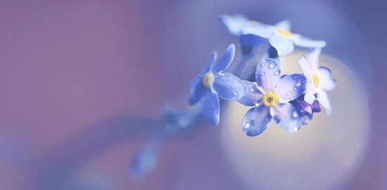 Windows ME: Informace a rady