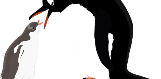 Gentoo: Návod pro začátečníky