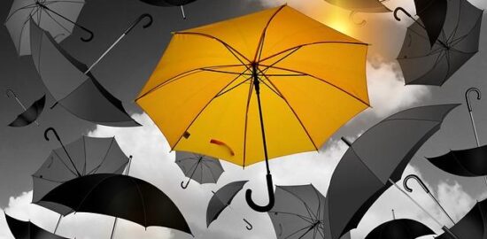 Výběr programovacího jazyka: Jak vybrat ten správný?