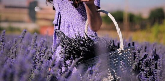 Jak si vybrat správnou kryptoměnu