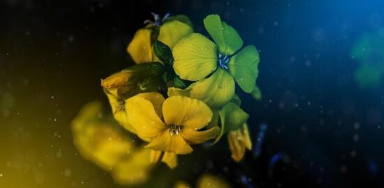 Recenze Visual Basic: začátečníkův průvodce