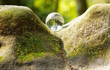 Základy kybernetiky: Informace pro začátečníky