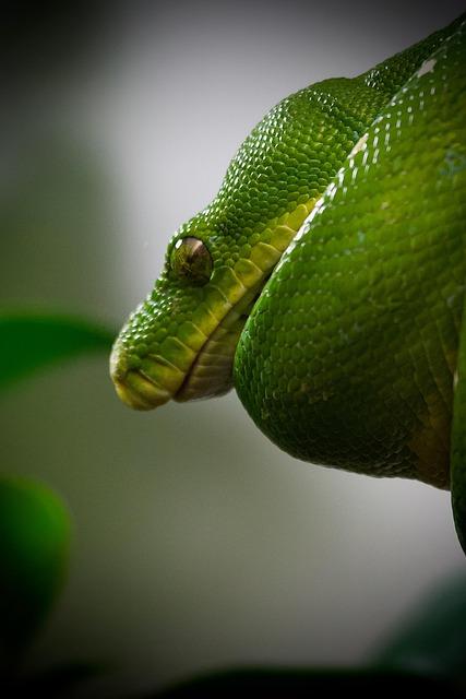 Python pro začátečníky: První kroky v programování