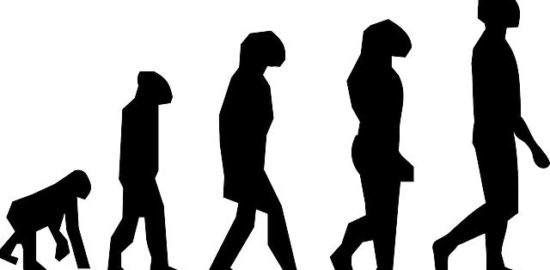 Vývoj a využití kybernetiky