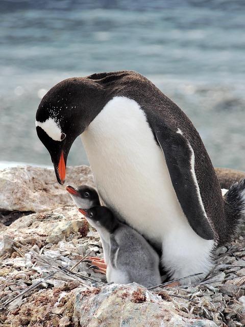 Gentoo: Návod k instalaci a správě