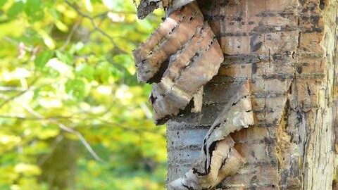 Jak obchodovat s kryptoměnami – informace a tipy