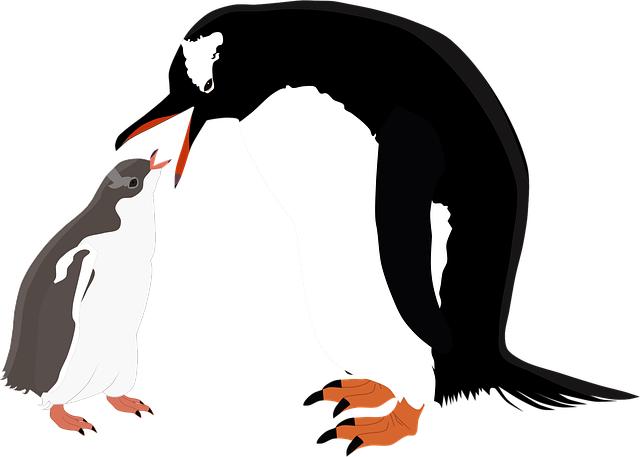 Gentoo: Rady a tipy pro začátečníky
