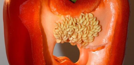 Jak funguje kryptoaktivum: Neutrální informace