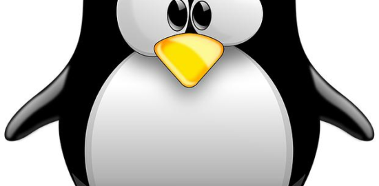 Arch Linux: Jak udělat vlastní minimalizovaný operační systém