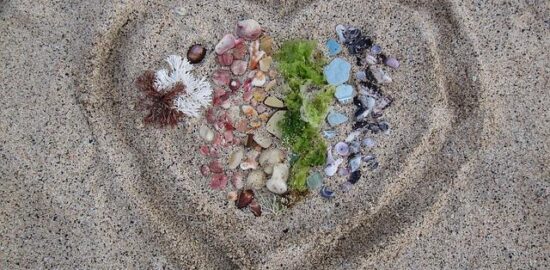 Úvod do PHP: Základy programování pro začátečníky