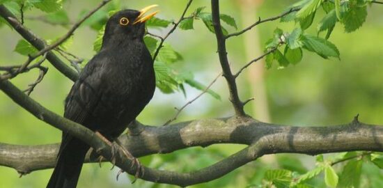 Rozšířený pohled na kryptoaktivum
