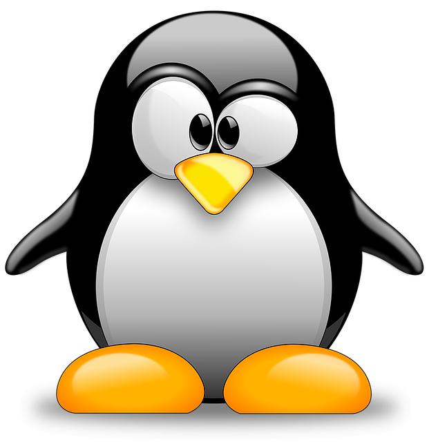 Jaké jsou výhody a nevýhody použití Gentoo linuxu