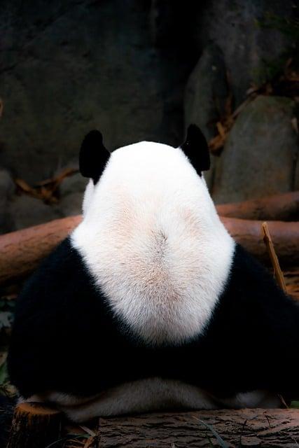 Základy kybernetiky pro začátečníky