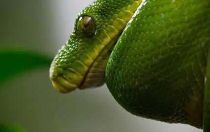 Jak udělat třídu v jazyce Python