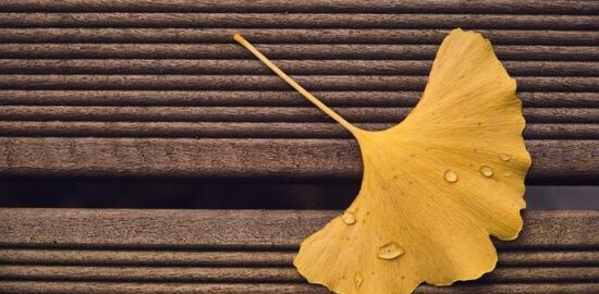 Rady a tipy pro práci s linuxem