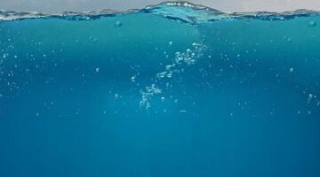 Hluboký pohled na Python: Využití a možnosti