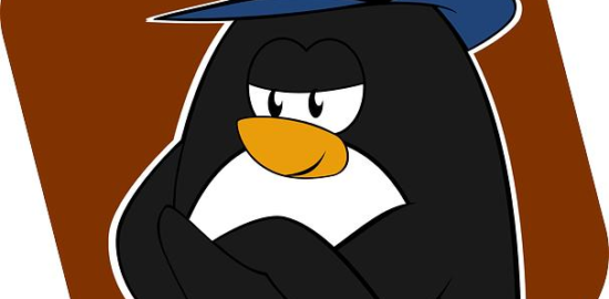 Jak efektivně využít Fedora Linux pro práci