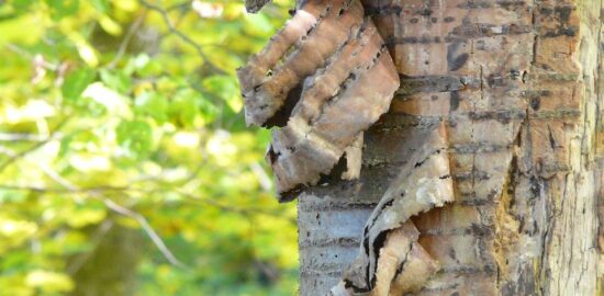 Jak obchodovat s kryptoměnami?