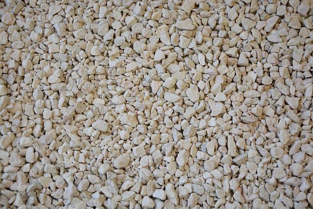 Využití VBSriptu v IT firmách: Přehled užitečných funkcí