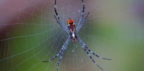 Windows NT: Hlubší pohled na jeho architekturu a vývoj