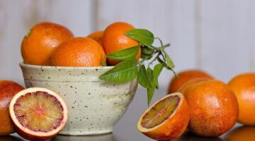 Jak pracovat s moduly v jazyce C++