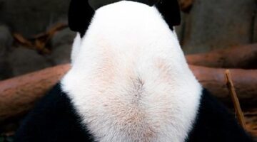 Základy kybernetiky: Informative pohled na moderní vědní obor