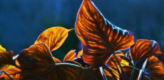 Visual Basic: Průvodce pro začátečníky a pokročilé