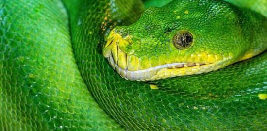 Python jako moderní programovací jazyk – Informative