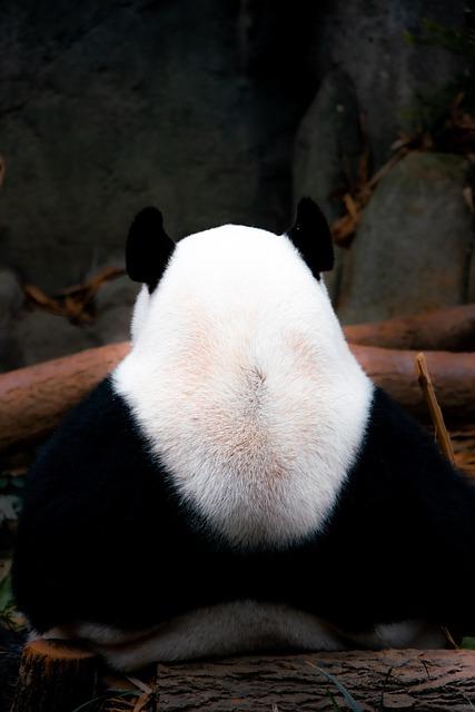 Základy kybernetiky: Informative記事