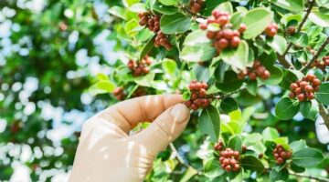 Jak vybrat správnou kryptoměnu?