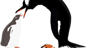 Gentoo: Informative přehled v češtině