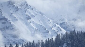 Přehled základních principů kybernetiky