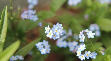 Jaký je Windows ME: Informative