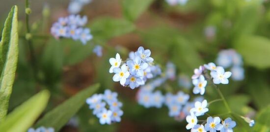 Jaký je Windows ME: Informative