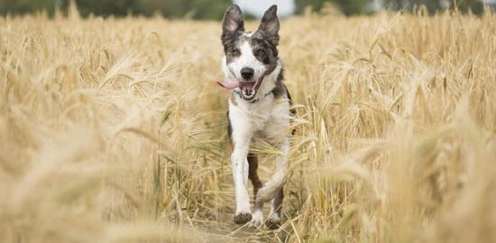 Jak spustit Windows XP na moderním počítači