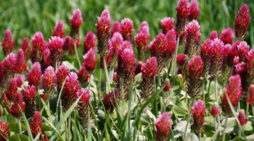 Využití PHP ve vývoji moderních webů