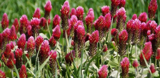 Využití PHP ve vývoji moderních webů