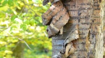Jak obchodovat s kryptoměnami: Informative