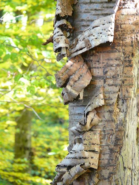 Jak obchodovat s kryptoměnami: Informative