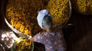 Jak pracovat s moduly v JavaScriptu