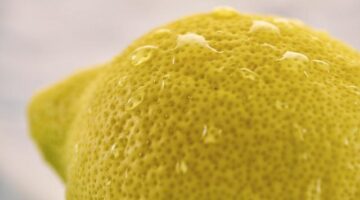 Porovnání funkcí v C++