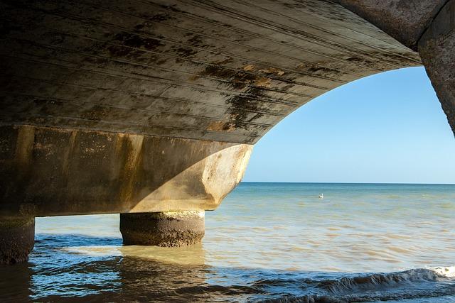 Základy kybernetiky: Informative přehled o jejím vývoji a principu