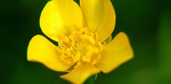 Jak používat kybernetické systémy efektivně