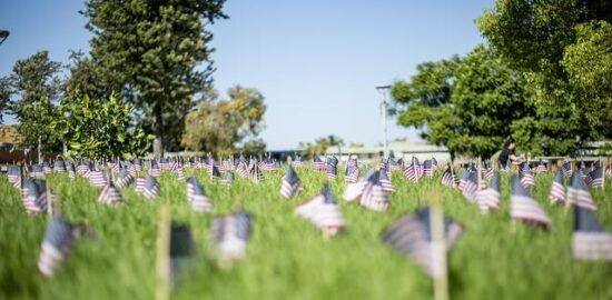 Windows 11: Informative